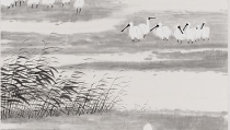 大但人文艺术画,从古希腊到现代的探索与传承